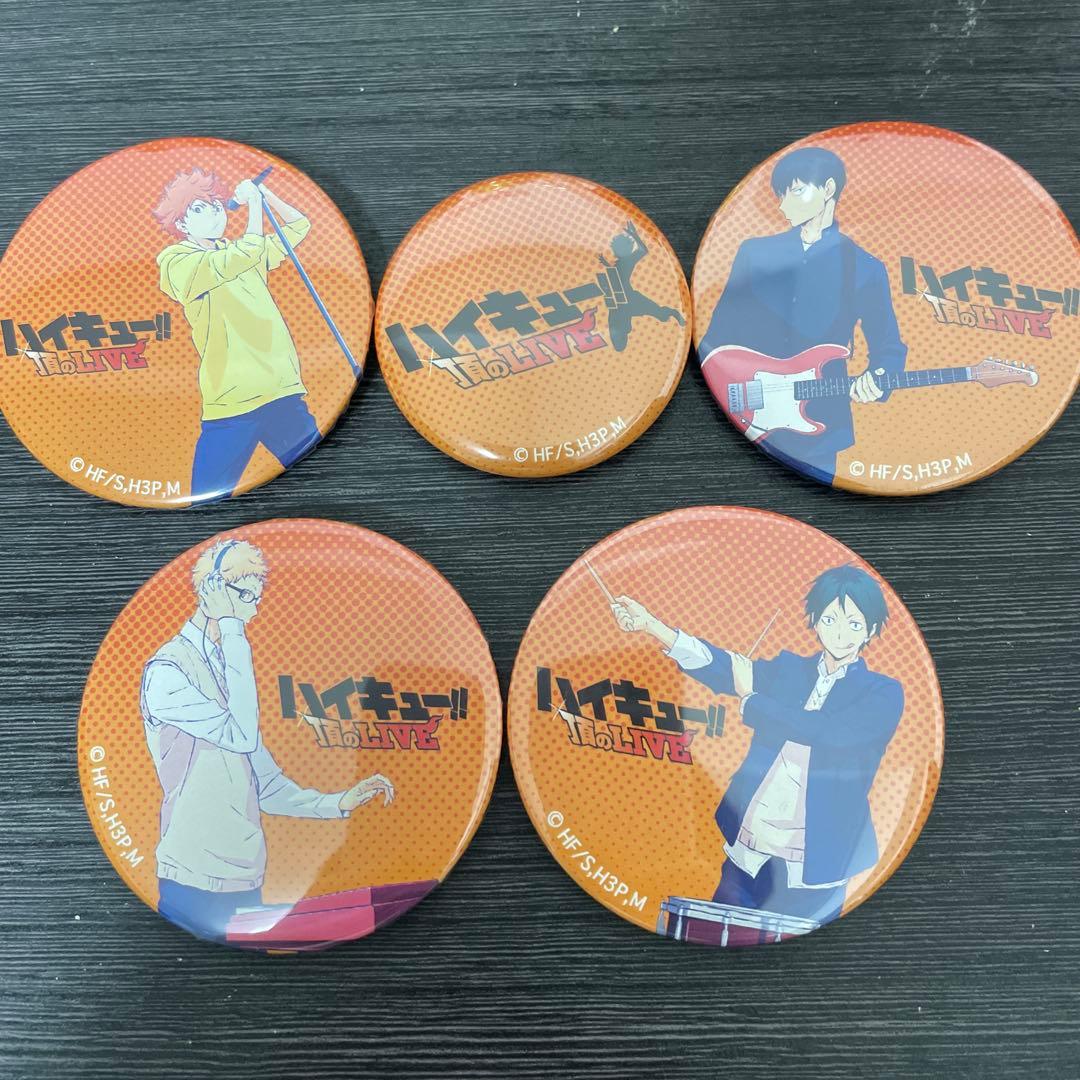 ハイキュー アニロックフェス 2018 頂のLIVE 缶バッジセット