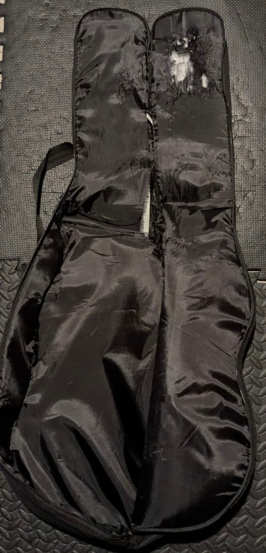 TEISCO テスコ MODEL 59 1PU セミアコ フルアコ ビザール