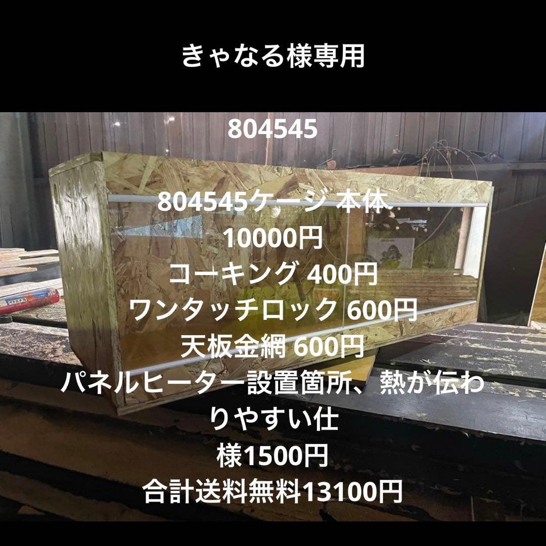 きゃなる　804545