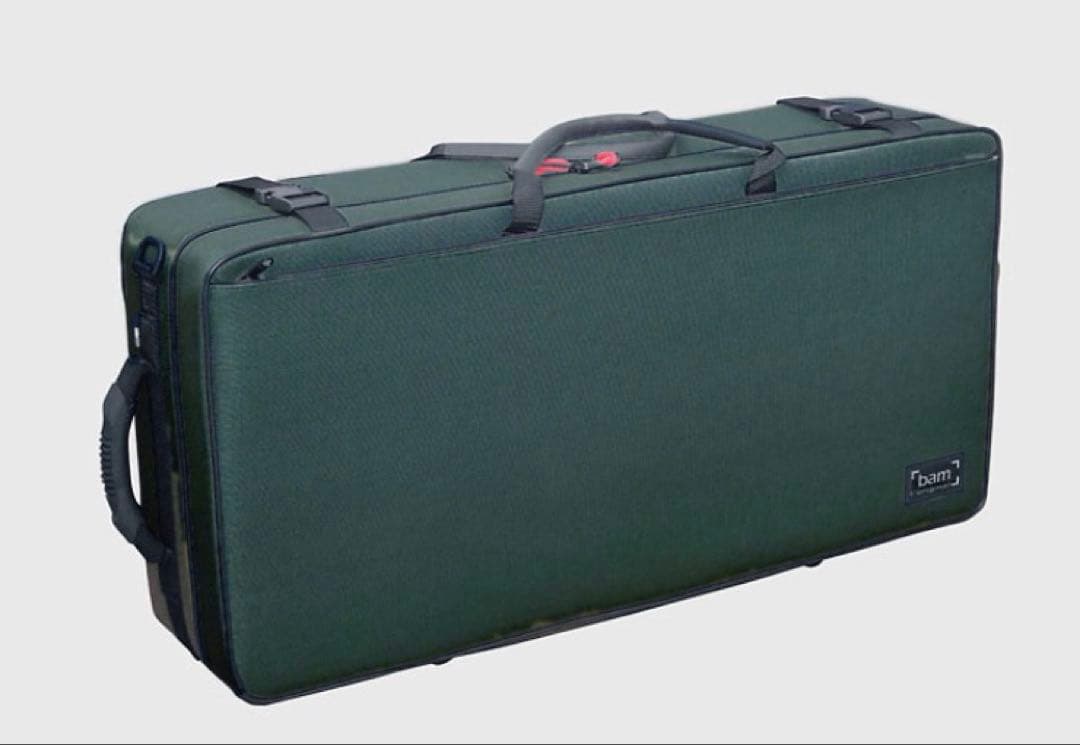BAM ダブルケース　バイオリン　ビオラ　グリーン