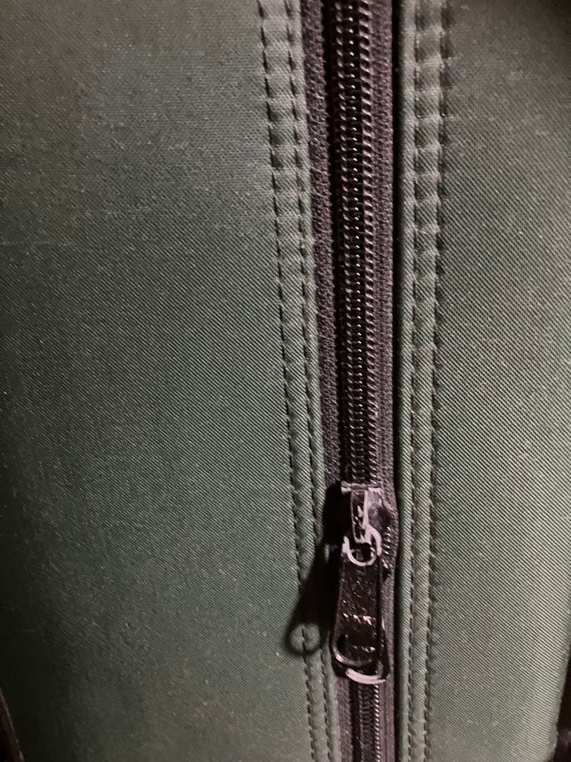 BAM ダブルケース　バイオリン　ビオラ　グリーン