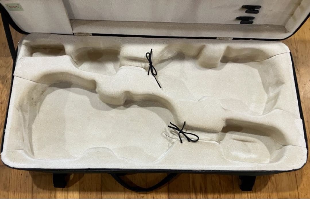 BAM ダブルケース　バイオリン　ビオラ　グリーン