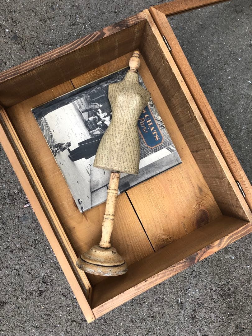 ショーケースとスタンドと猫の本