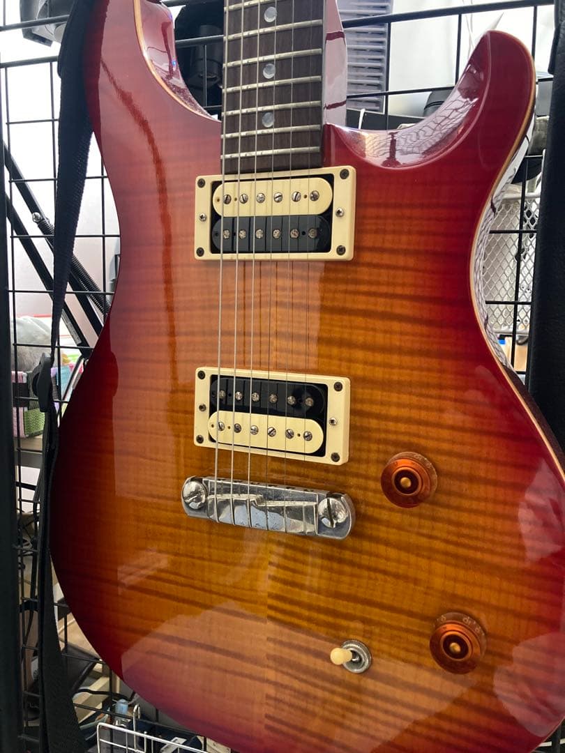 ギター Paul Reed Smith PRS SE Custom
