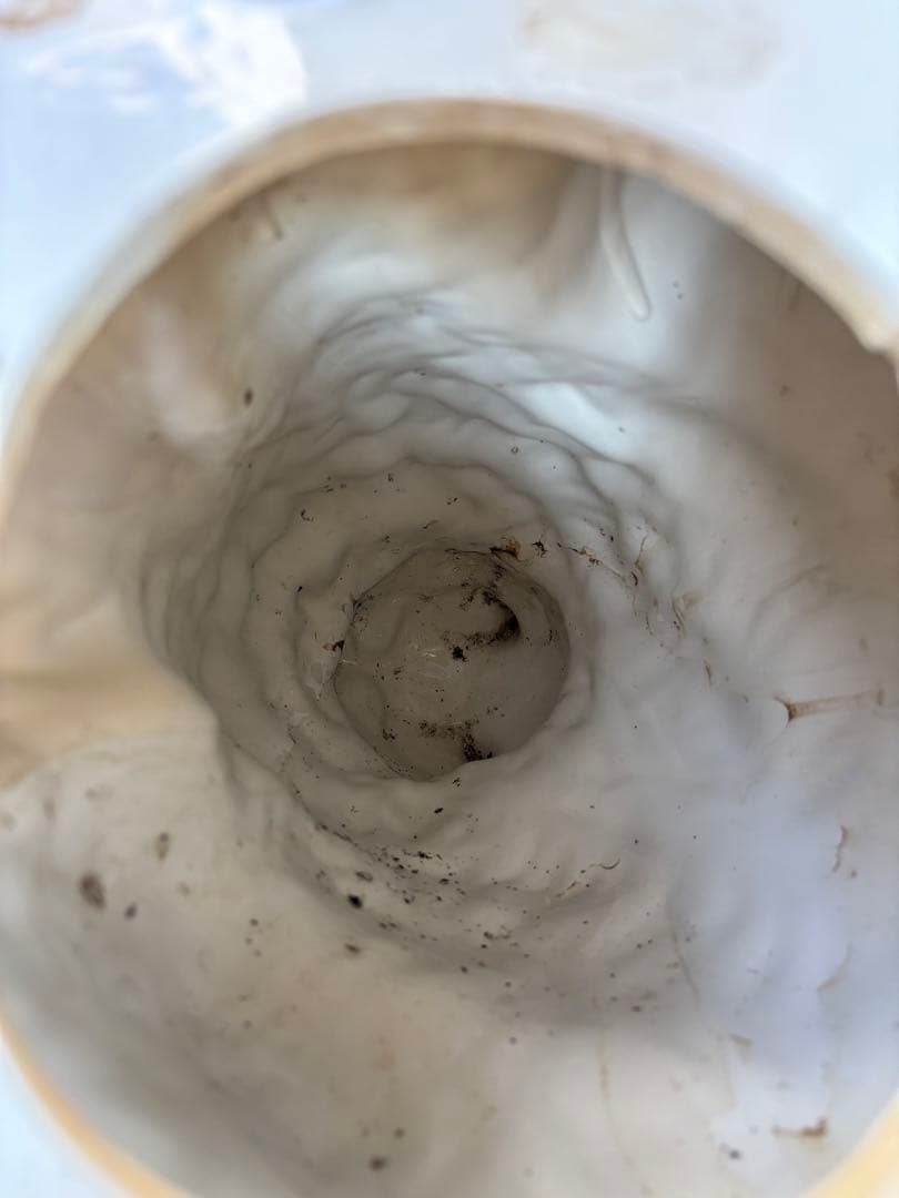 イタリア製　セラミック置物　猫