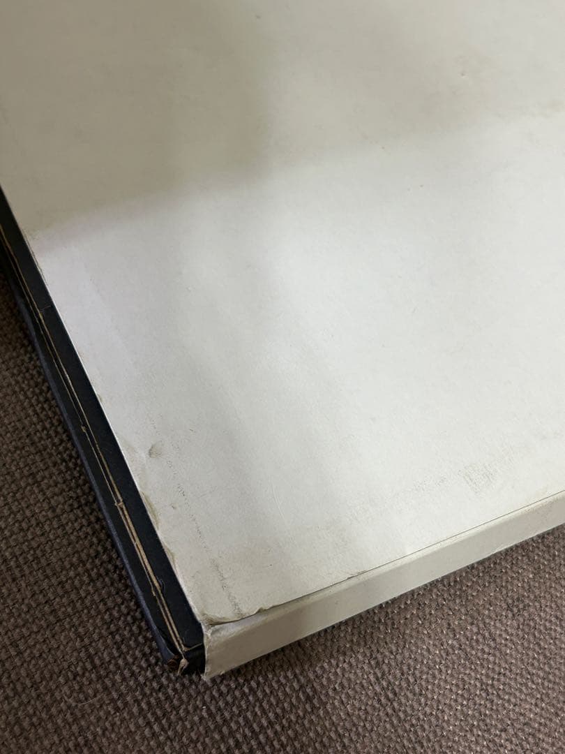 アイルトン・セナ メモリアルコレクション10周年記念 ポートレイト 24枚セット