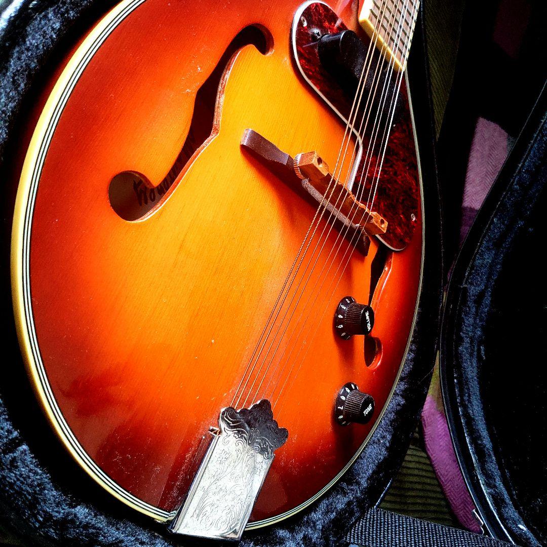 MOUNTEREY エレキマンドリン MME-203