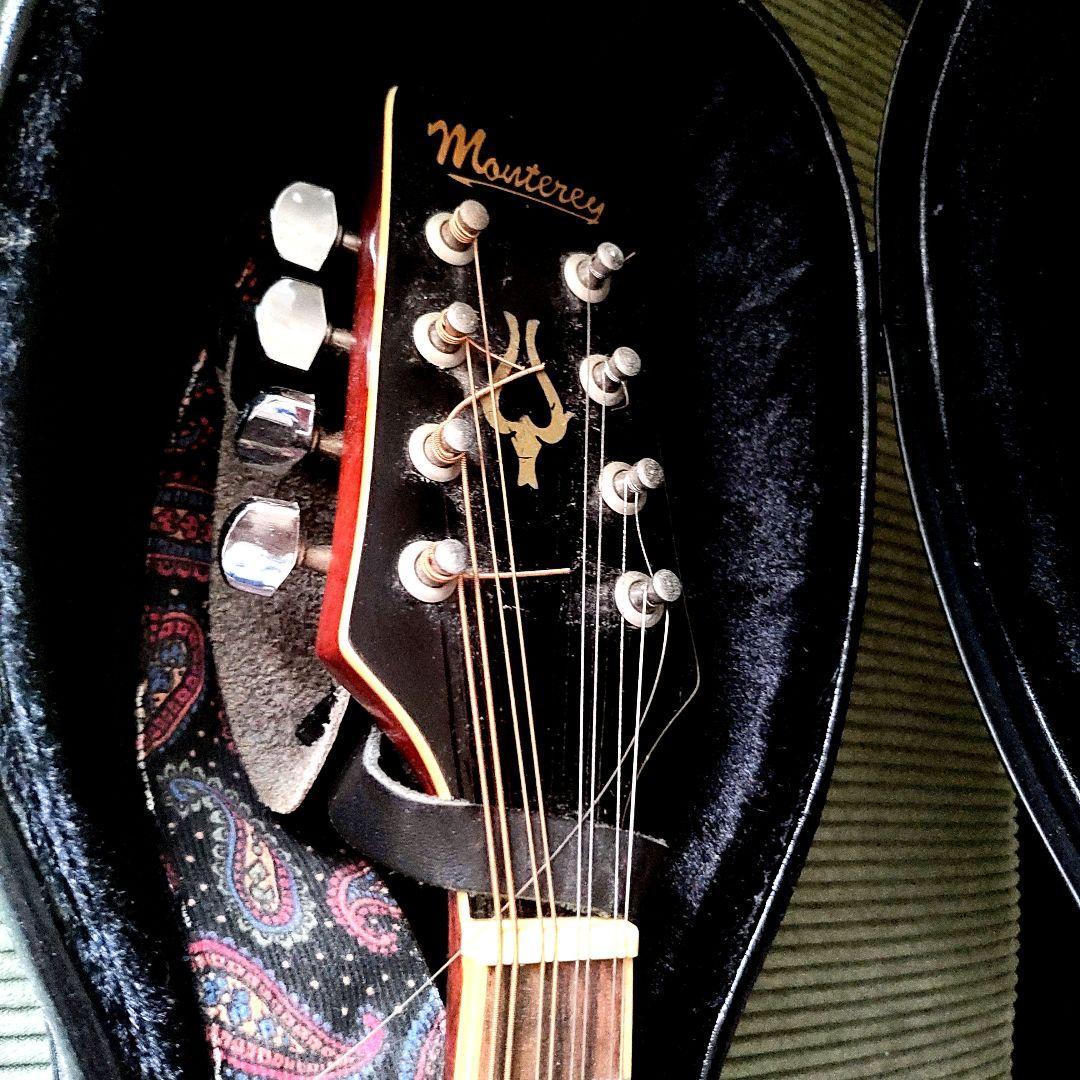 MOUNTEREY エレキマンドリン MME-203