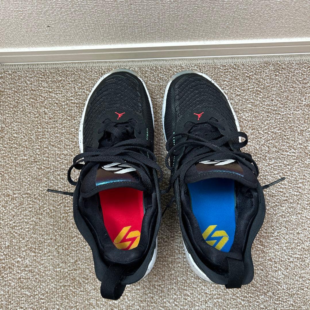 26cm JORDAN LUKA 1 ルカ1 バッシュ　コービー6