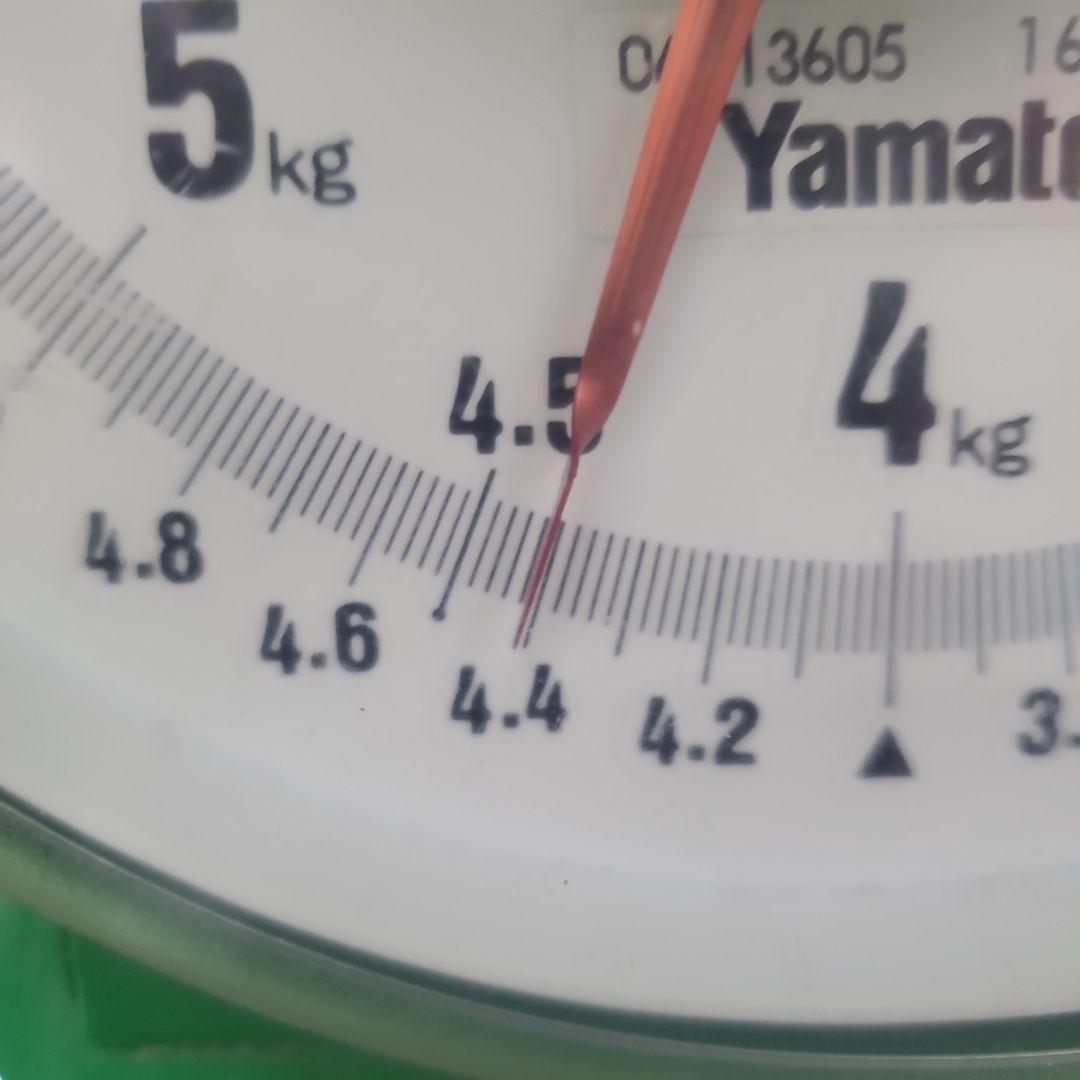 1⃣ 山梨県産 クイーンニーナ ７房入り 箱込み4.3キロ