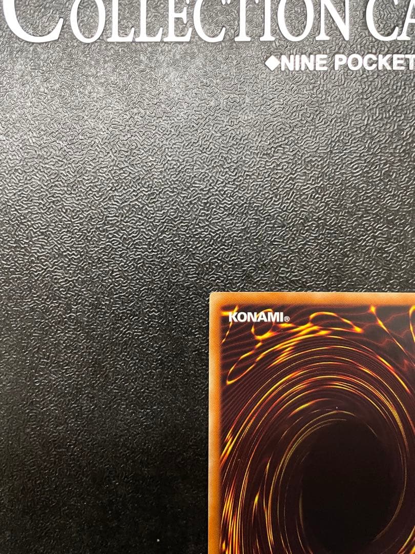 【貴重】 ナチュルパルキオン　dtc シークレット