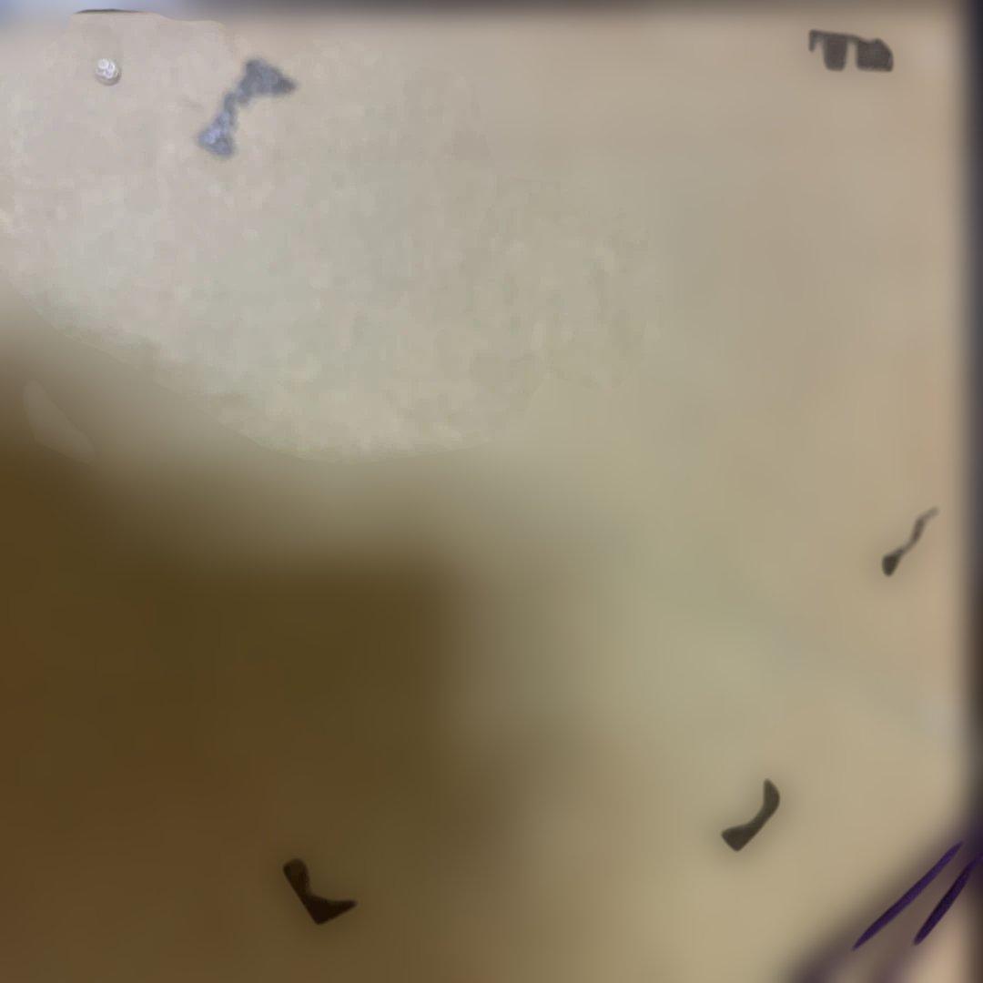 俵屋宗達筆　風神図　木版