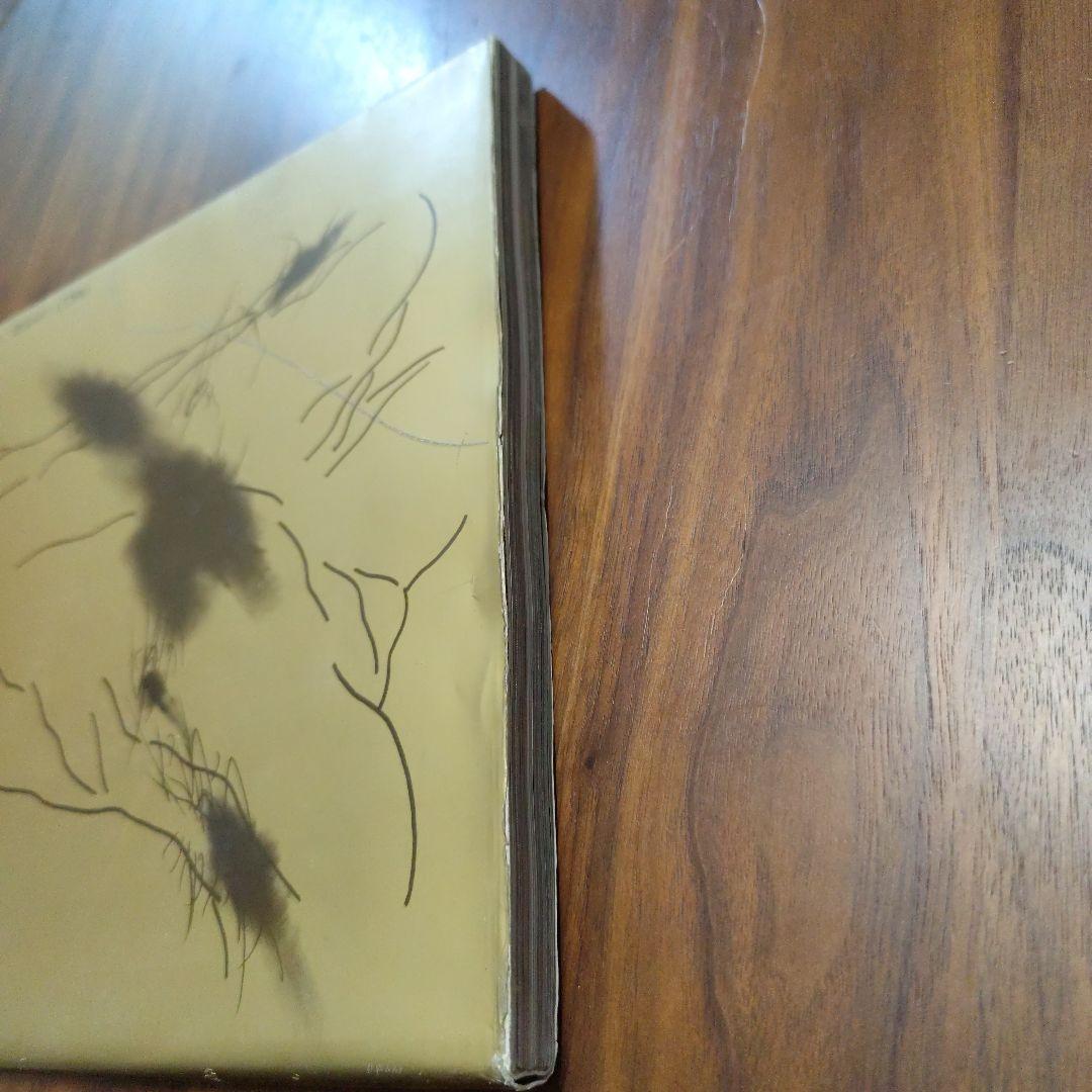 沢田研二 水の皮膚（帯無し）