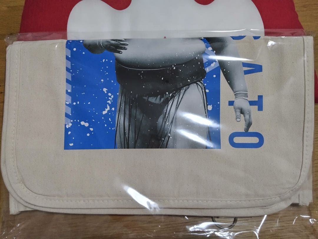 横綱　大の里グッズ