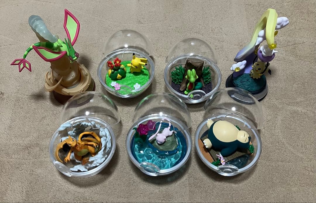 ポケモン　テラリウム