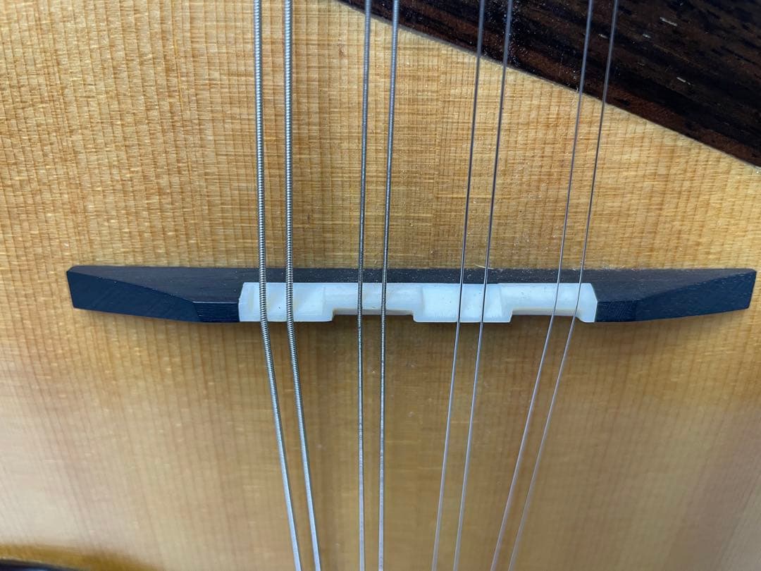 嶋田/エンジェルマンドリン モデル:BN