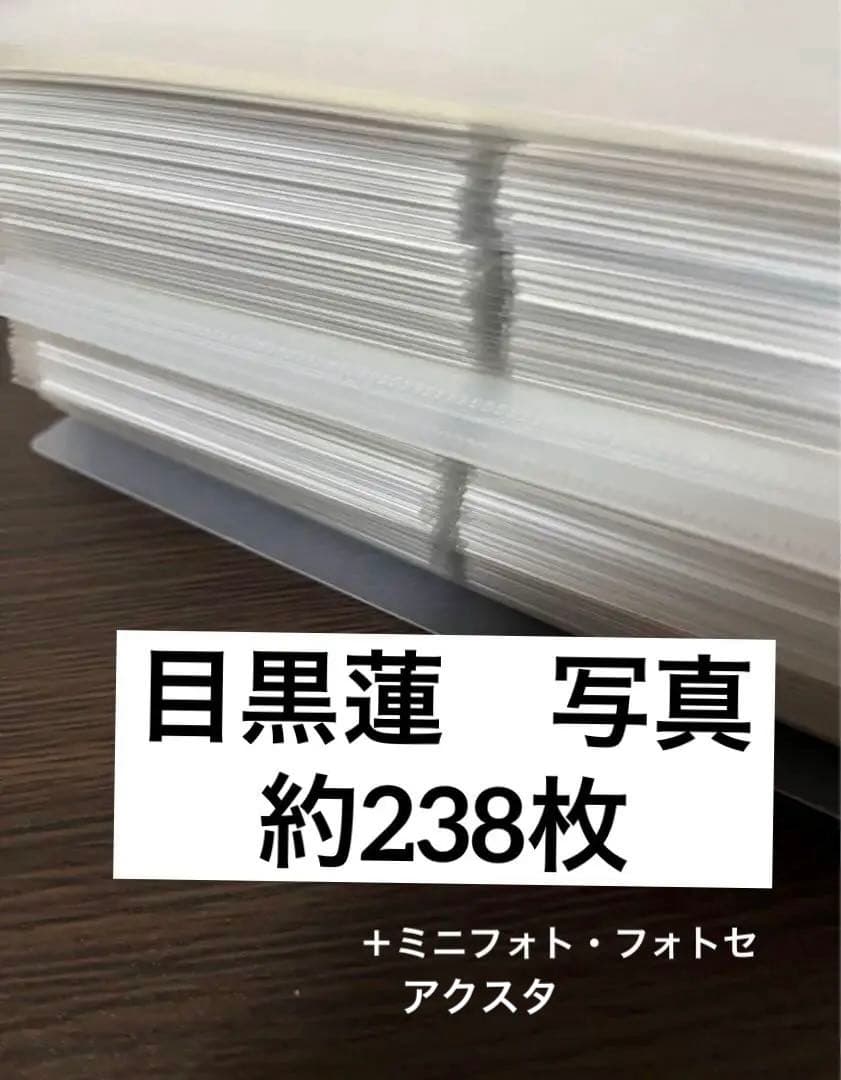 Man 目黒蓮　公式写真　約238枚　アクスタ　デンホリ　フォトセなど