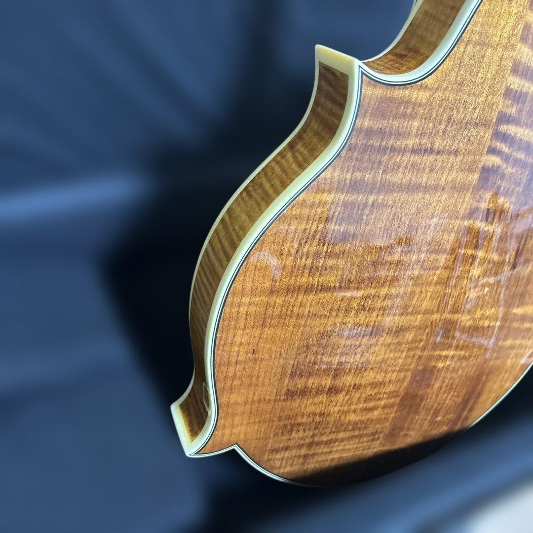 Rally ラリー マンドリン セミハードケース付き