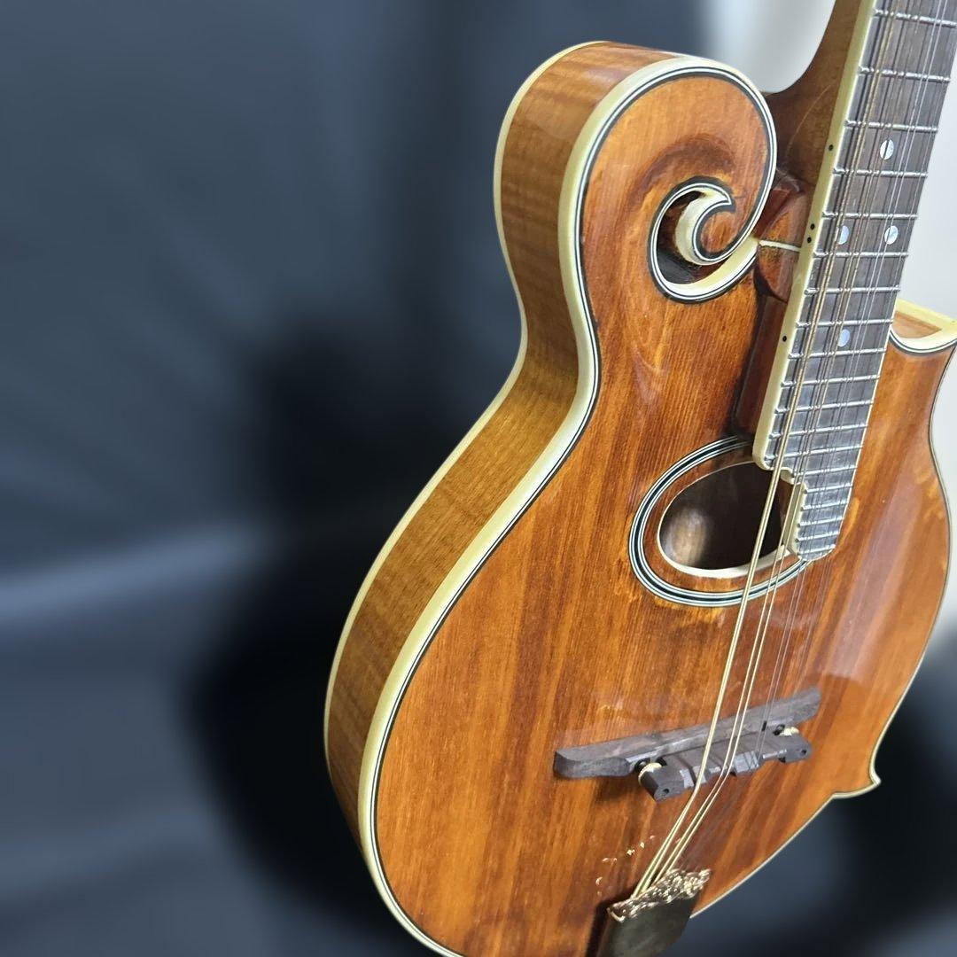 Rally ラリー マンドリン セミハードケース付き