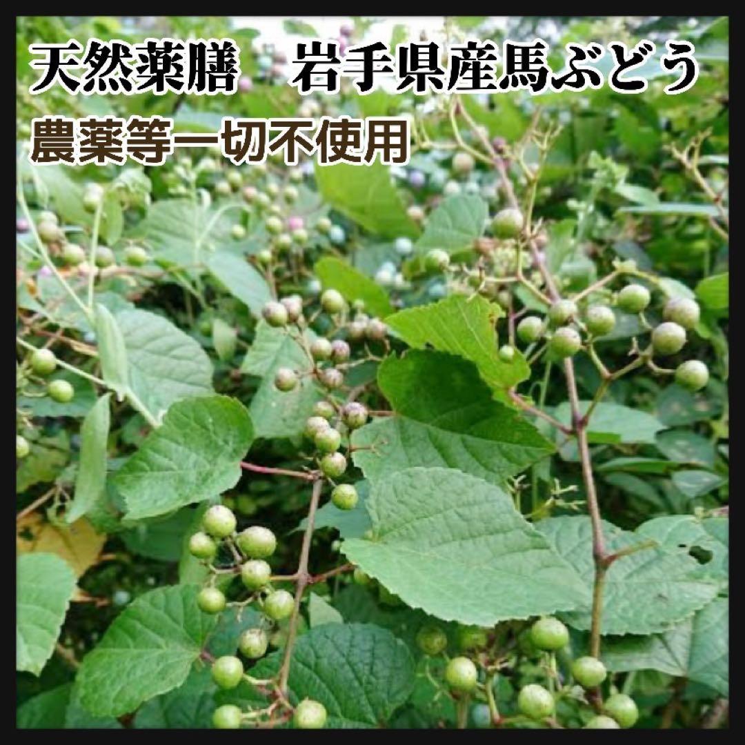 【在庫わずか】馬ぶどう250g×12袋　1年分3kg うまぶどう　薬膳　民間療法