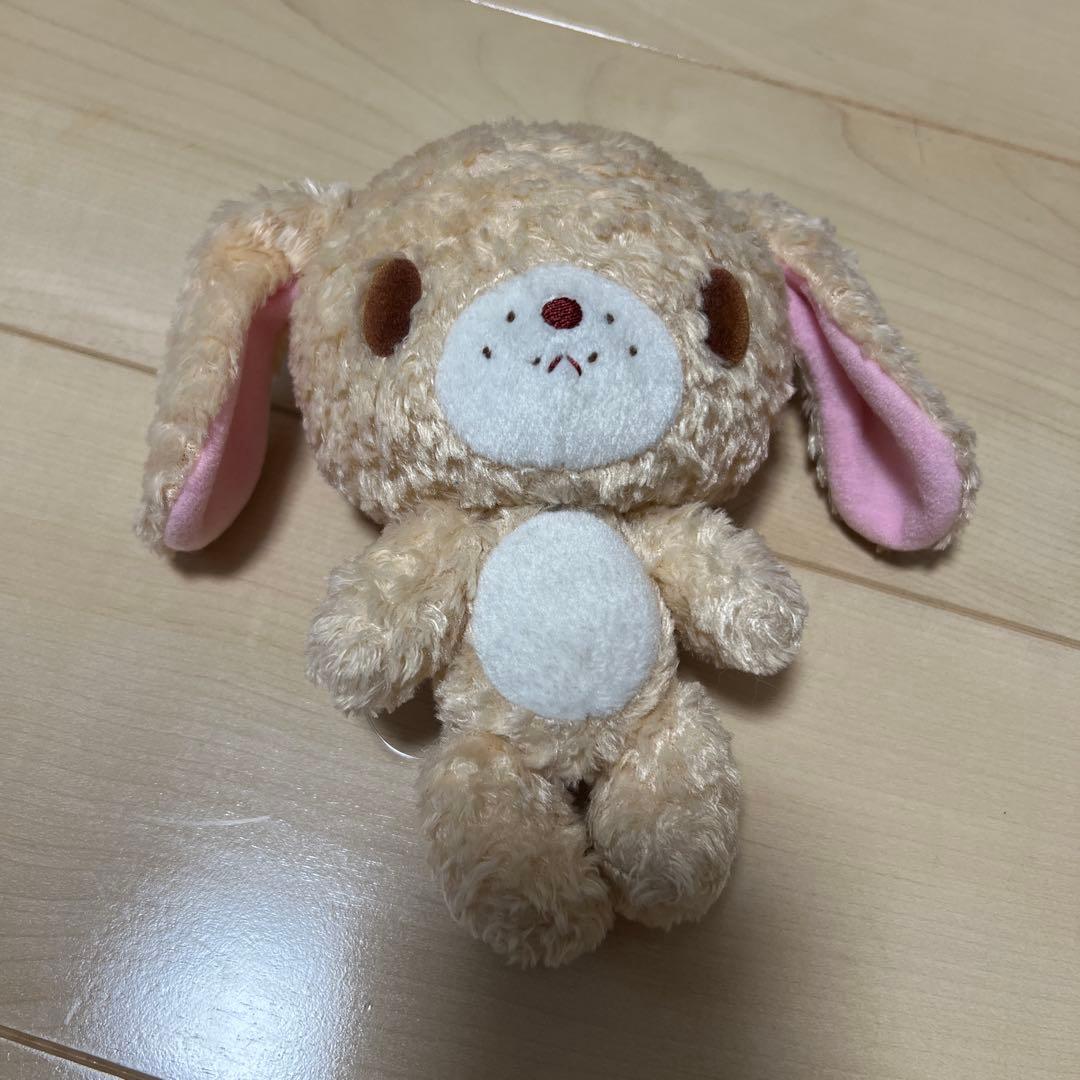 希少シュガーバニーズ　ラテうさ