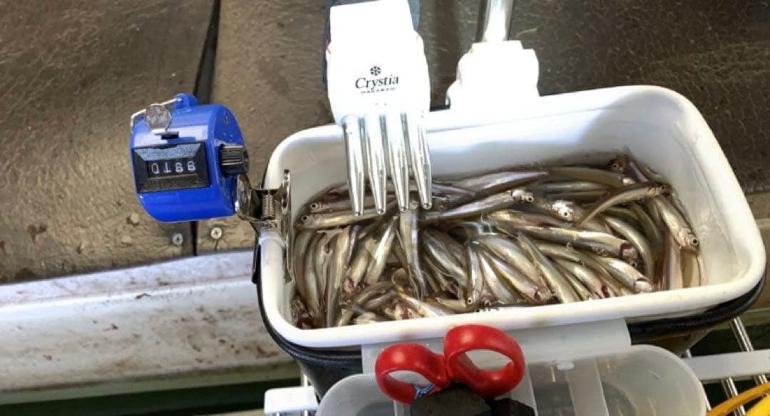 ワカサギ釣り　ステンレス穂先　 ２本　全長約 255ミリ