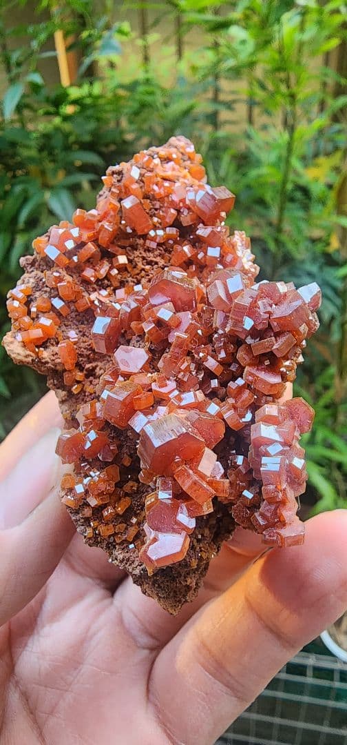 バナジナイト　ホルダー付き