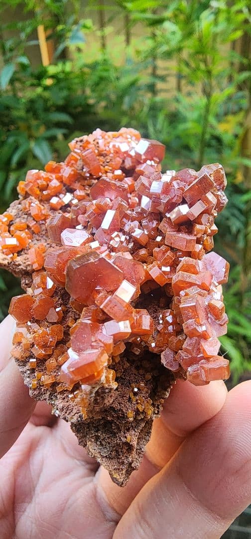 バナジナイト　ホルダー付き