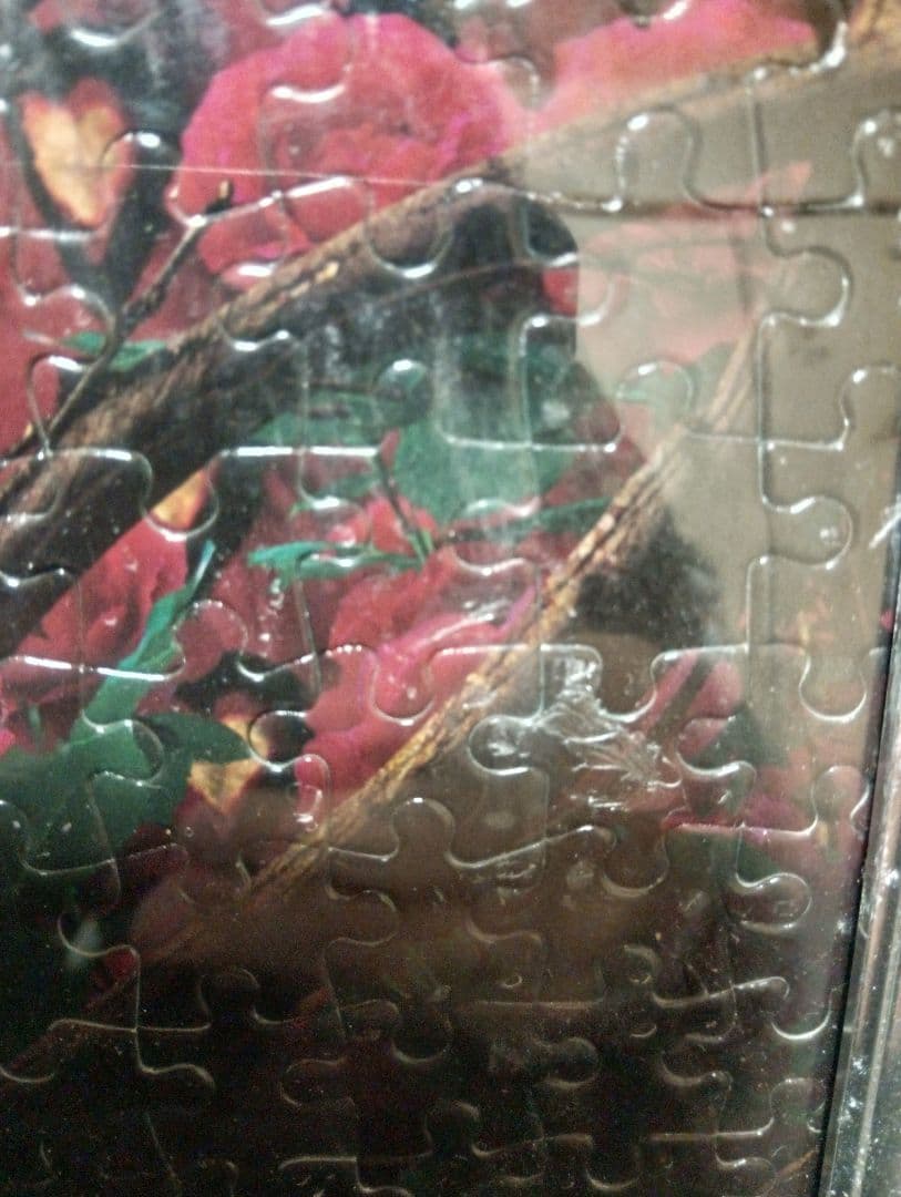 廃番　Disney　 アリスインワンダーランド 大型ジグソーパズル