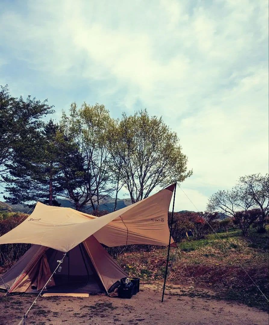 （3月中受取限定値下げします！）DOD ワンポールフルセット 都心部受取り相談