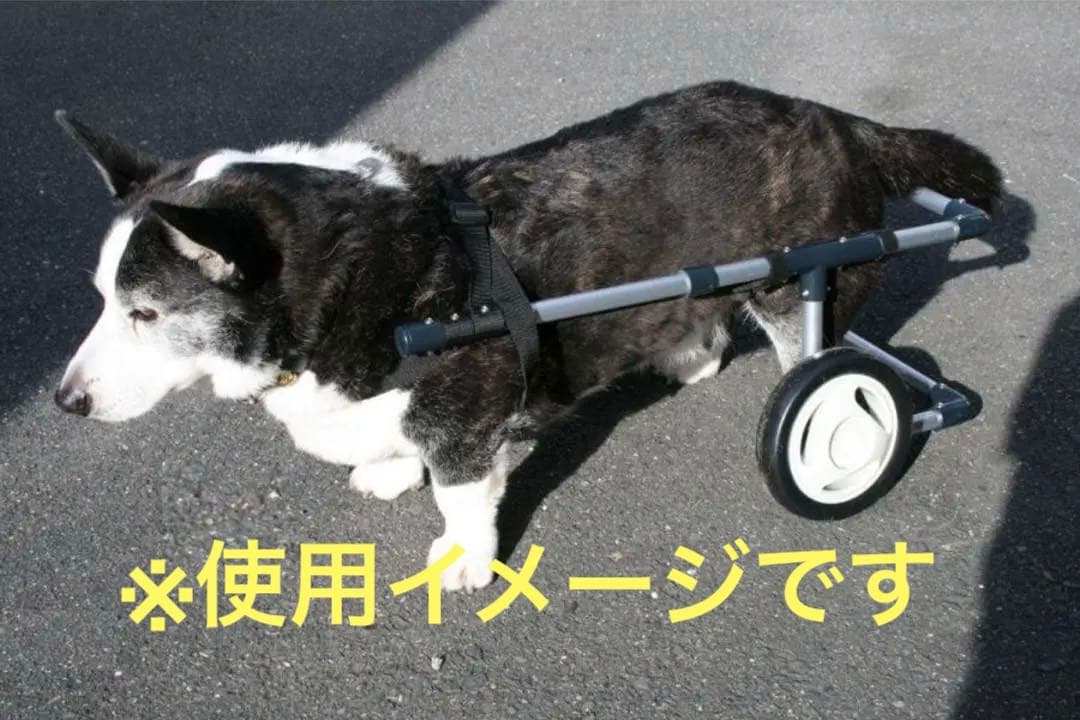 週末値下げ　中型犬用　車椅子　歩行器　　軽量アルミ製　2輪