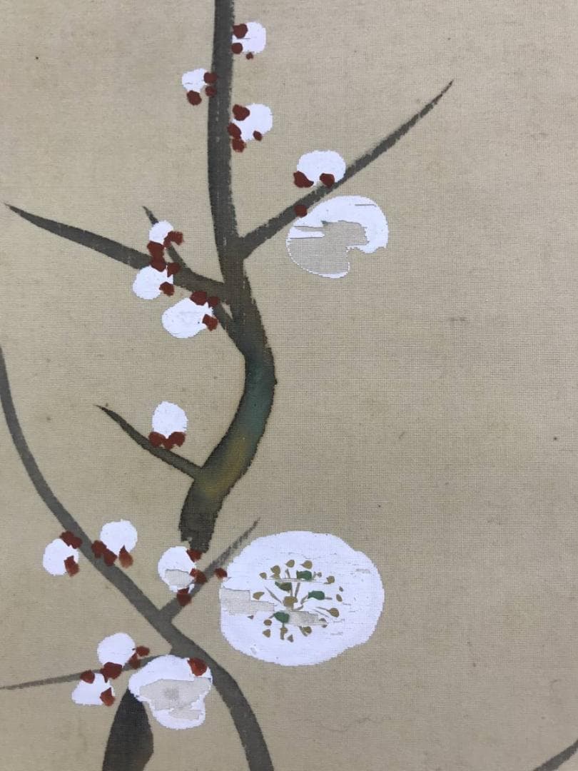 酒井抱祝/梅に南天図/花図/花木図/花鳥図/掛軸/名家伝来/AE-194