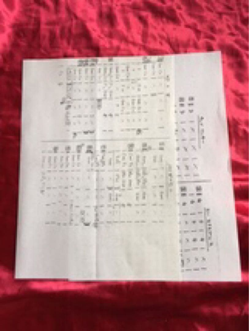 鈴木茂 Booster Amp / B-1 ★ECHOPLEX 高級ブースター