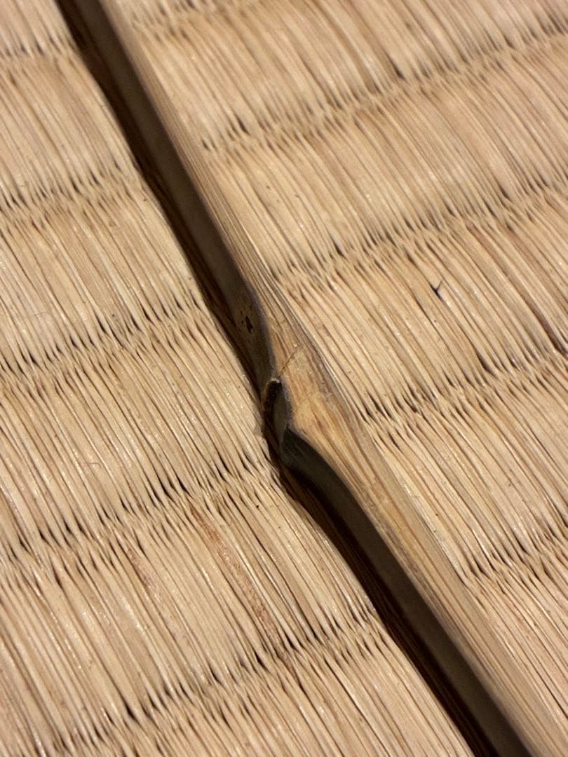 茶道具　煤竹茶杓　銘『紅葉狩』 招春寺 福本積應書付　影林宗篤削り