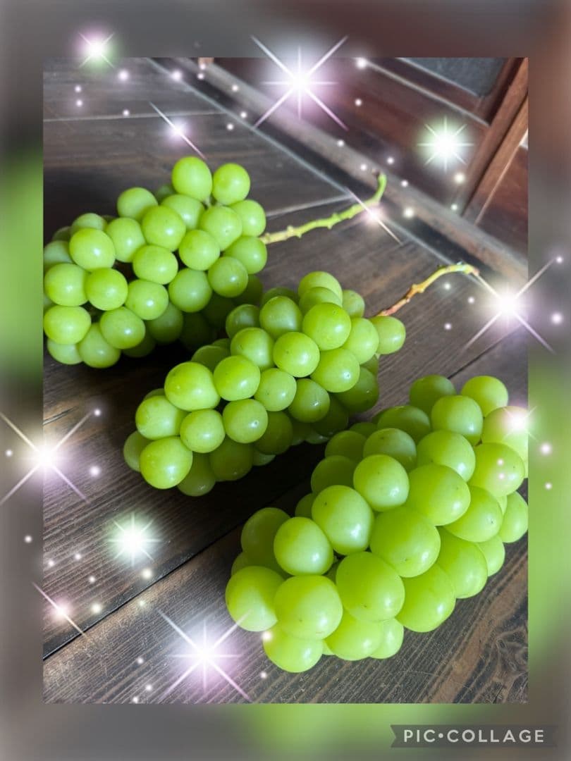 JASMINEママさん専用