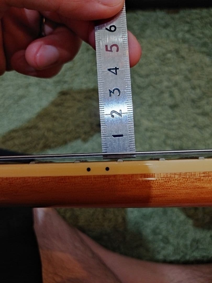 【送料込】Epiphone casino coupe NA ハードケース付