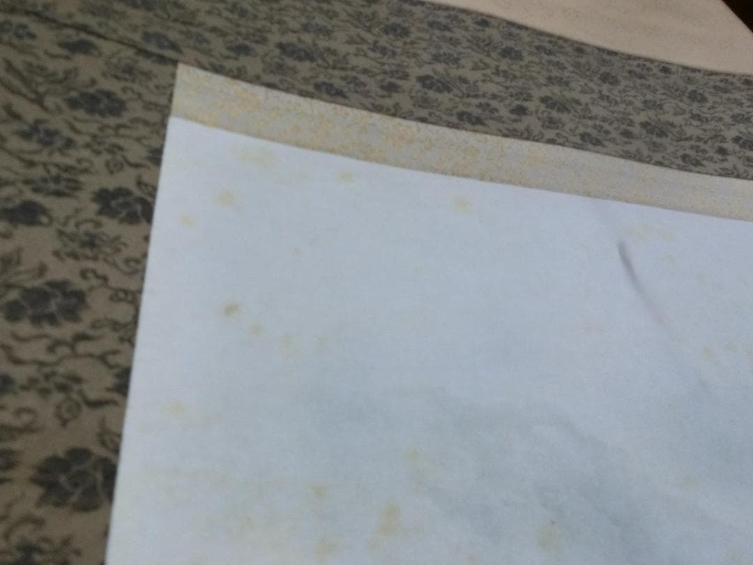 水墨画 水墨山水 春水画