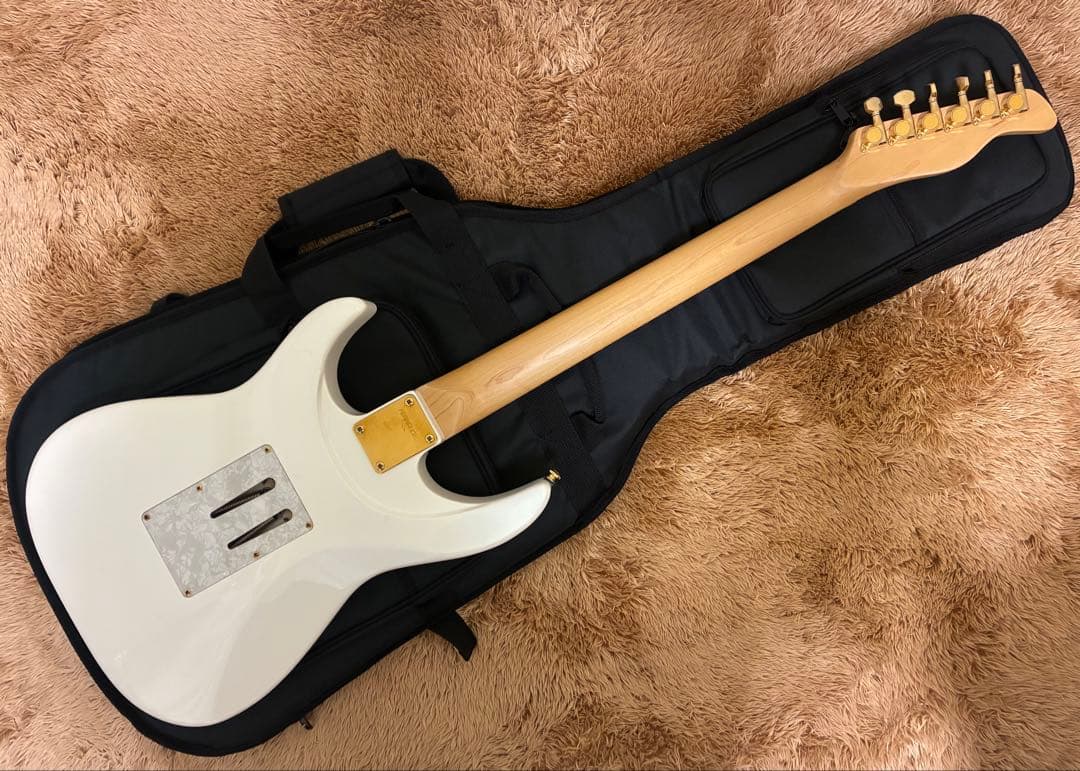 【ギグバッグ付属】FERNANDES LA-80KK