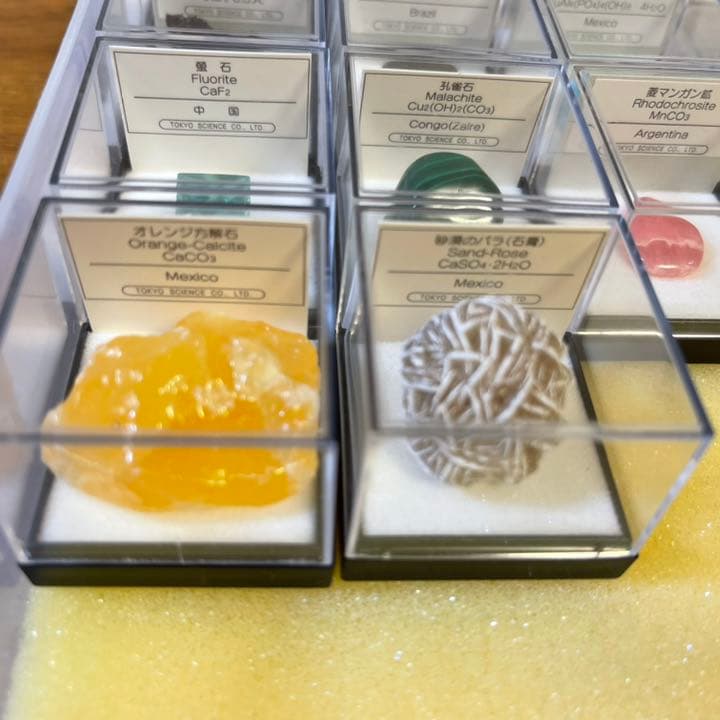 鉱物コレクション　&  図鑑　ルーペ