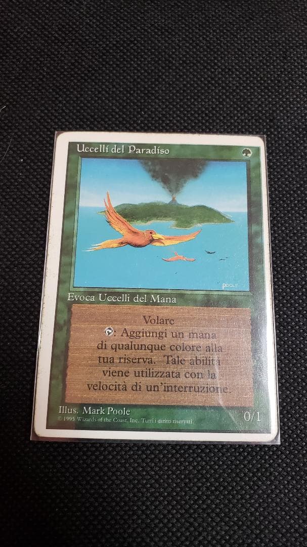 MTG 極楽鳥 イタリア語 エラー