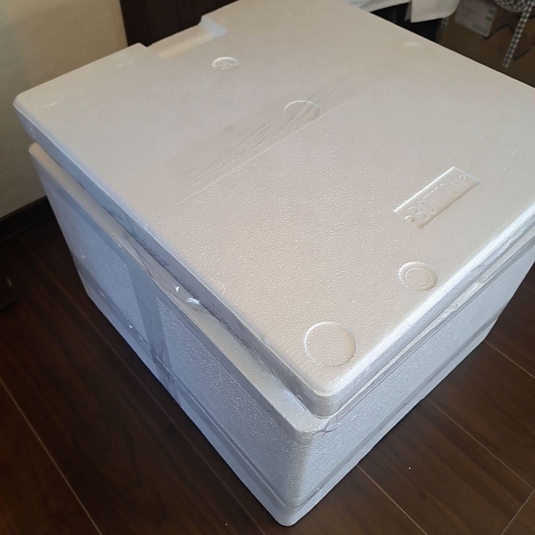 世界500体限定！ エクスプラスRMCゴジラ 2000 ミレニアムひな形レプリカ