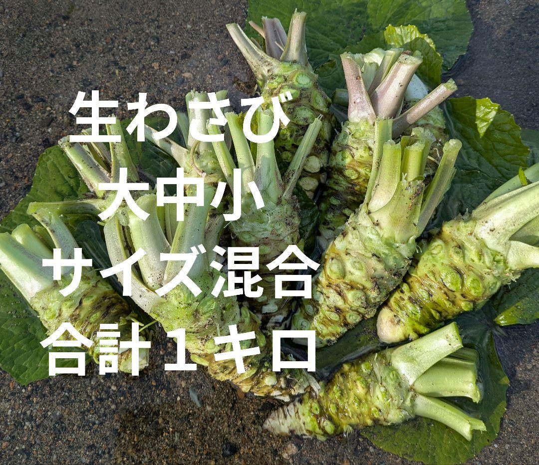 生わさび
