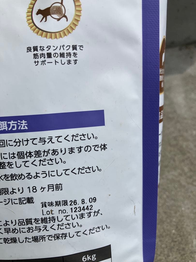 elmo アダルトインドア　1歳から