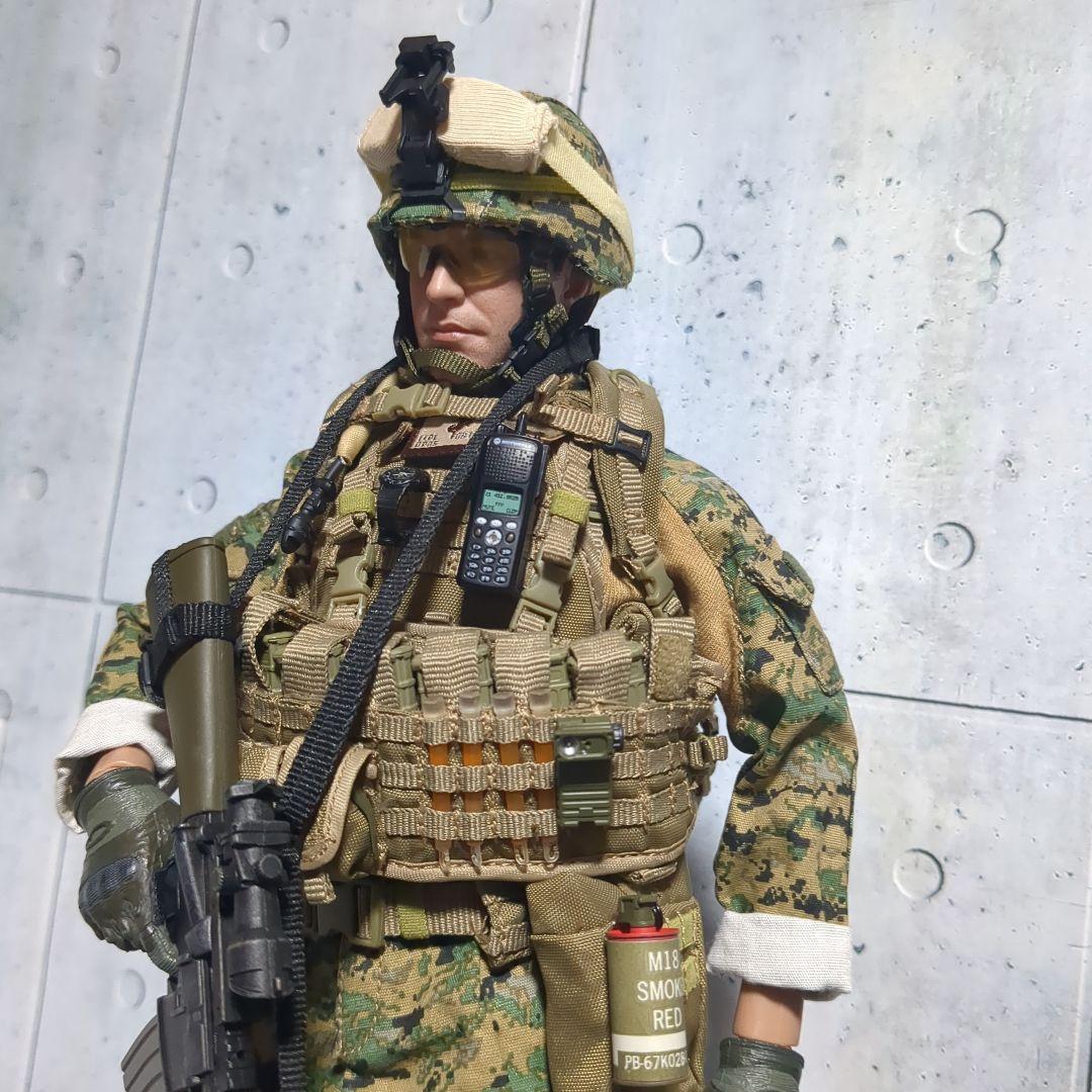 1/6 米海兵隊 第2海兵遠征旅団 アフガニスタン カスタム CS60