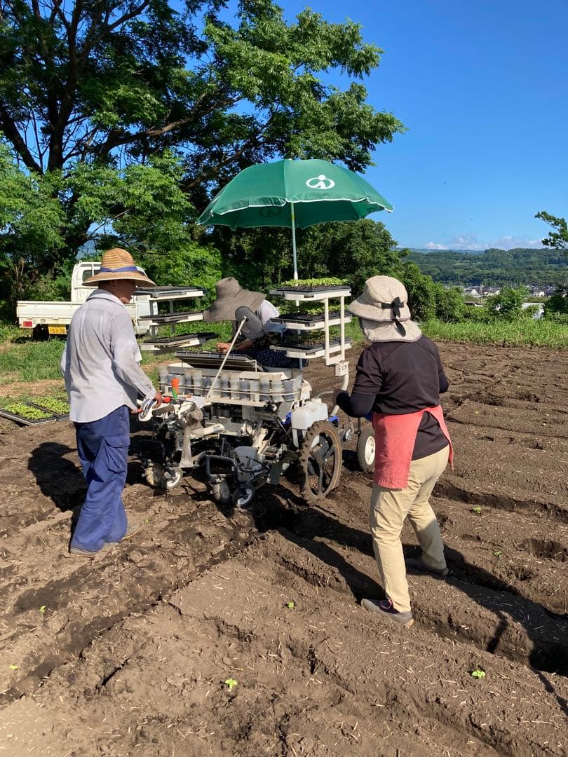 菊池のえごま油