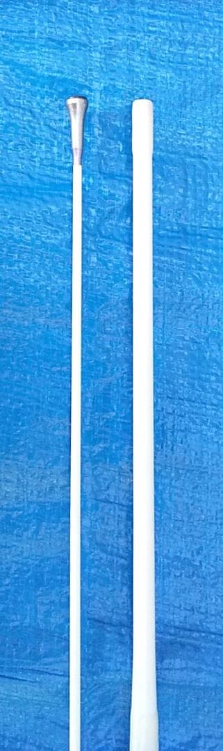 ロッド Daiwa PROCASTER-Z 602MLFS-I INTERLINE