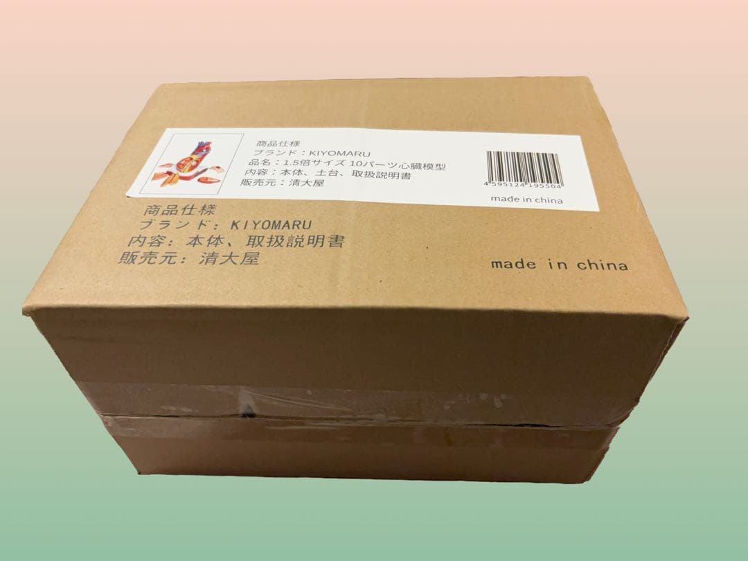 KIYOMARU 心臓模型 1.5倍大 10分解 教育用 新品