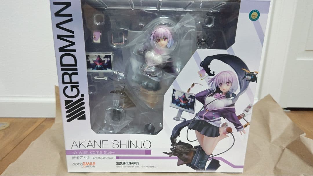 SSSS.GRIDMAN　新条アカネ ～A wish come true～