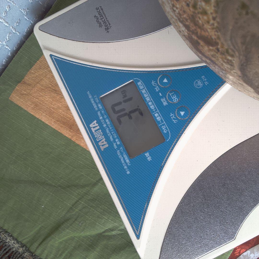 中国美術 骨董 漢？