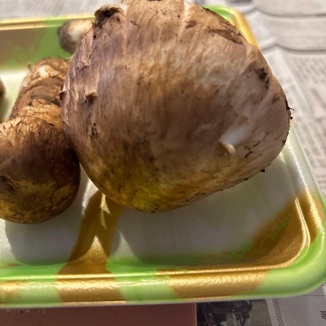 岩手県産　天然松茸
